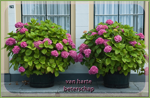 Klik voor een vergroting!